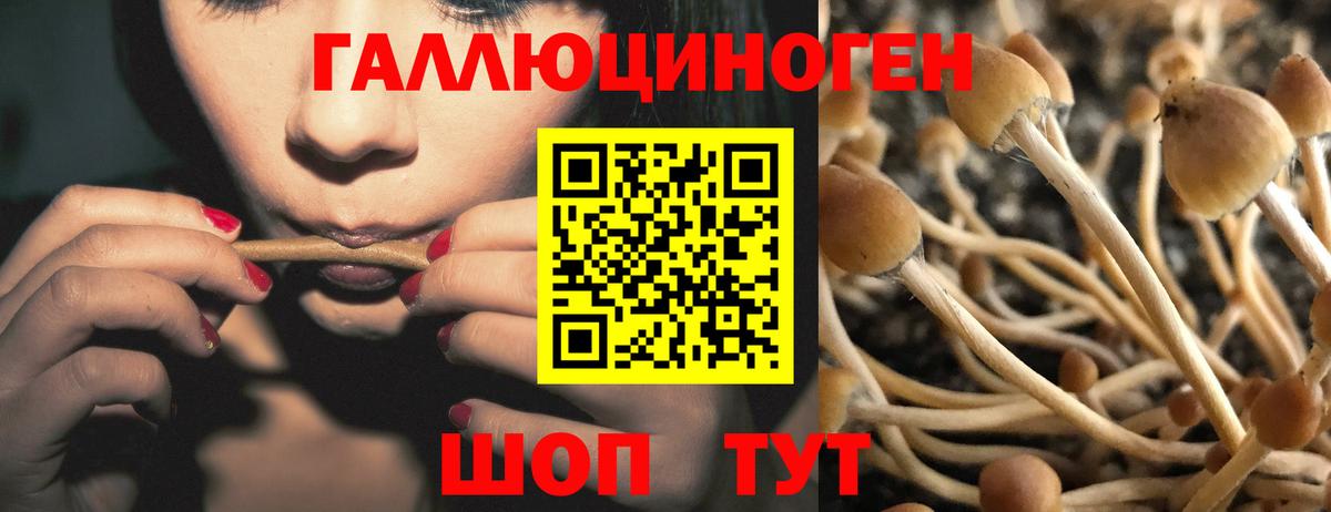 Псилоцибиновые грибы прущие грибы Стрежевой