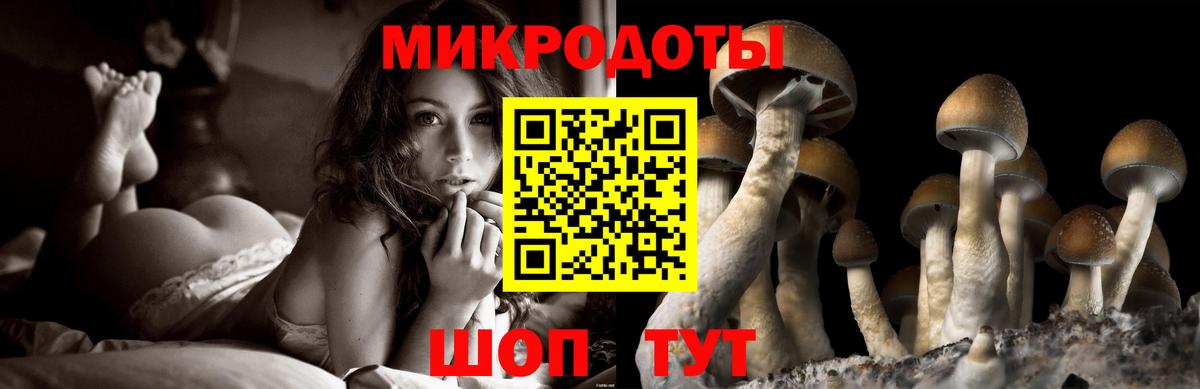Галлюциногенные грибы мухоморы  Вход с VPN  купить наркотики цена  Стрежевой 